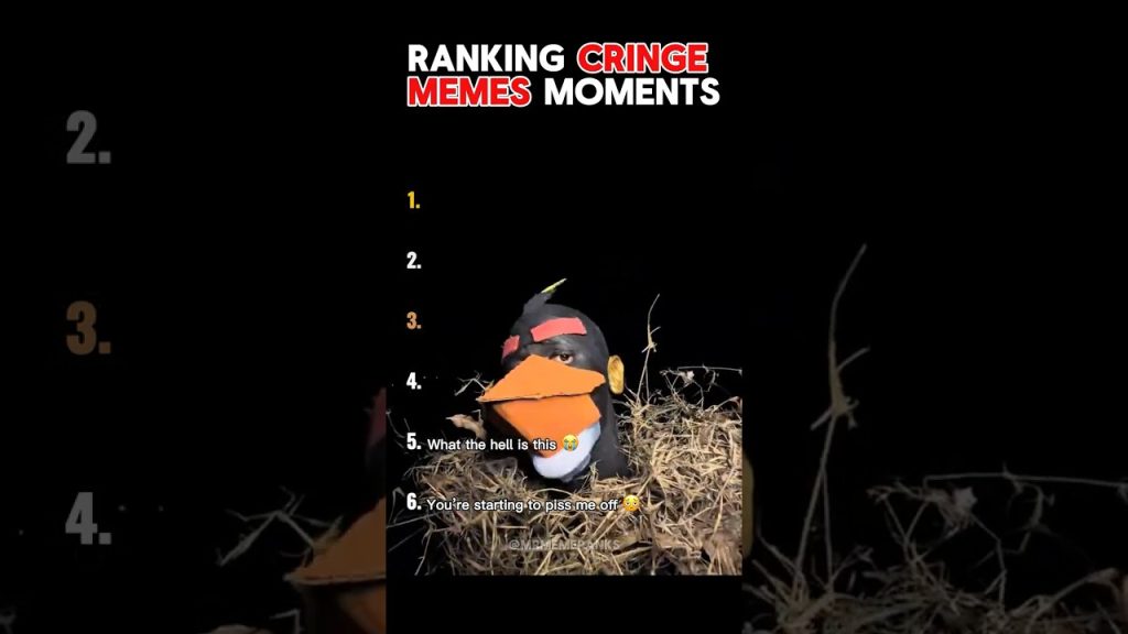 Tf Is This Bruh 🫩🥀 #cringe #ranking #funny #memes #shorts