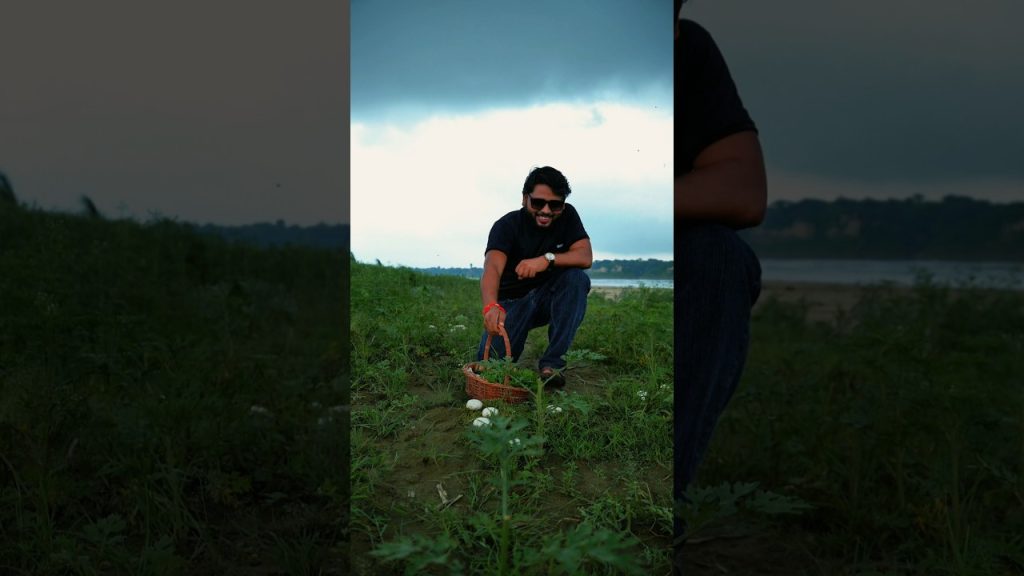 Wild harvest | Delicious masala mushroom recipe #shorts #food #recipe