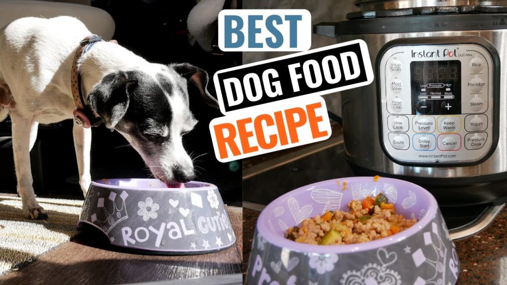 How to Make this HOMEMADE Dog Food Recipe in Your INSTANT POT