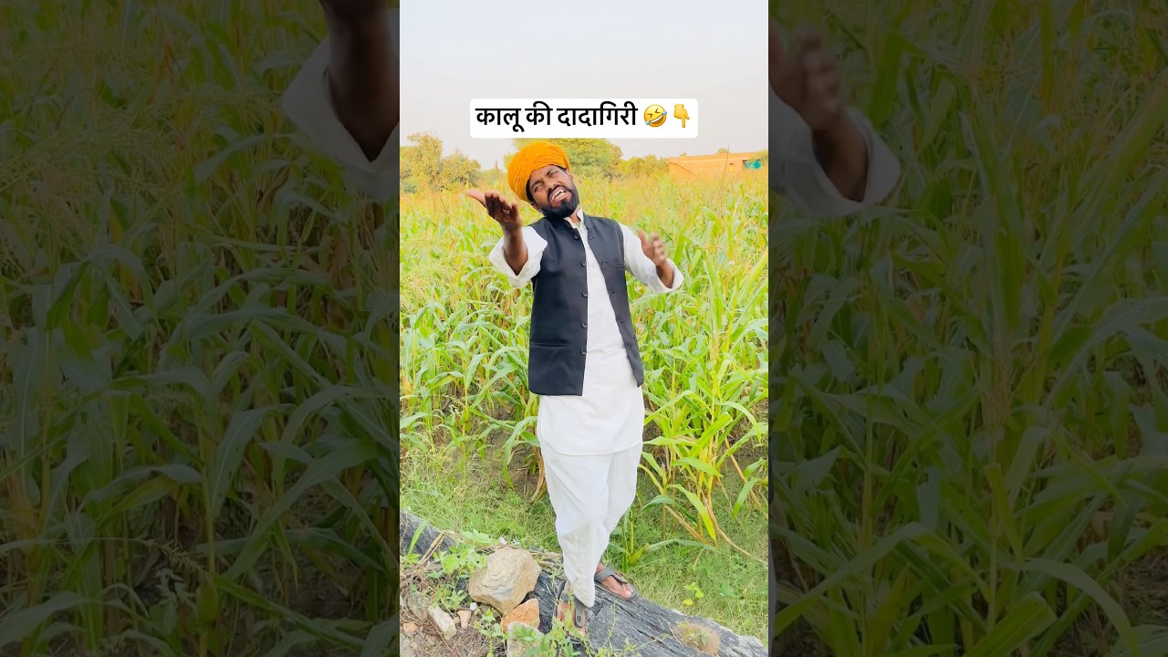 कालू की दादागिरी 🤣 #comedy #funny #comedyvidoes #shortsfeed #jokes #entertainment