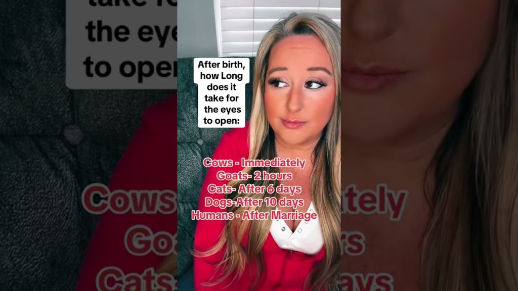 #funny #jokes