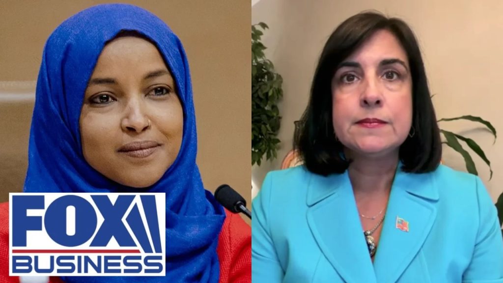 Rep Nicole Malliotakis: I find this really ironic