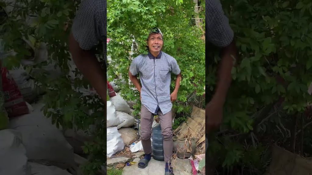 MOBIL HANCUR TERTIMPA POHON #shorts #comedy #funny
