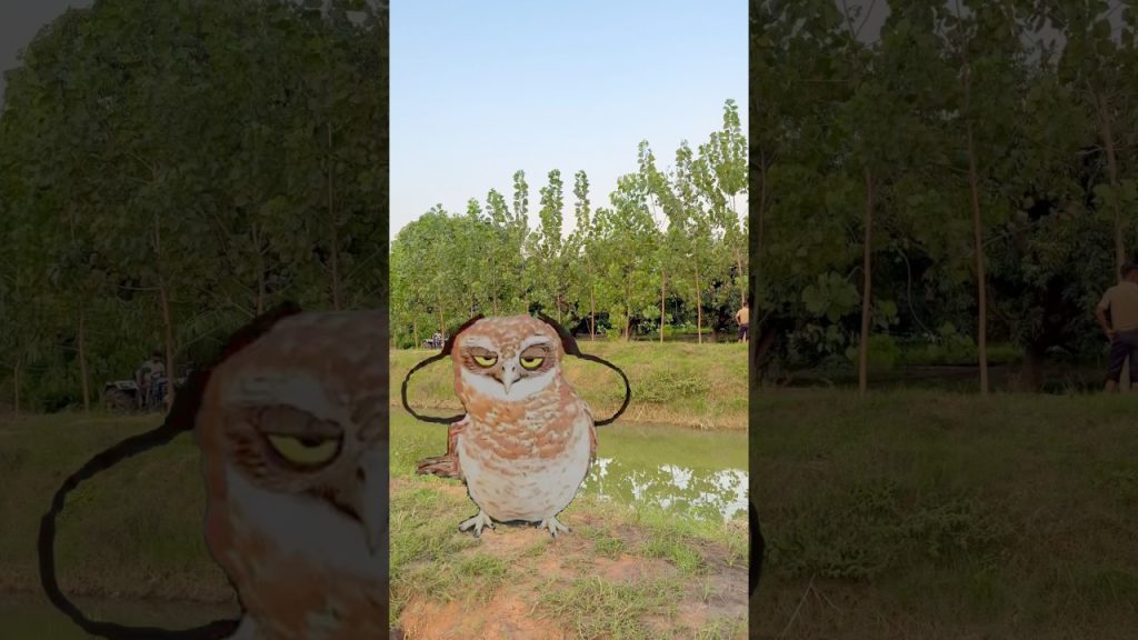 Owl ka dance 😂 #trendingshorts #funny #viralvideo #comedy #shortsfeed #entertainment