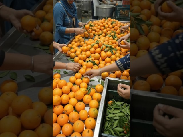 🍊Fresh orange #food #recipe #indianfood #langer #langersewa #cooking #cooking #kitchenvibzbykh